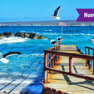 Sorteo Parcela Punta de Choros