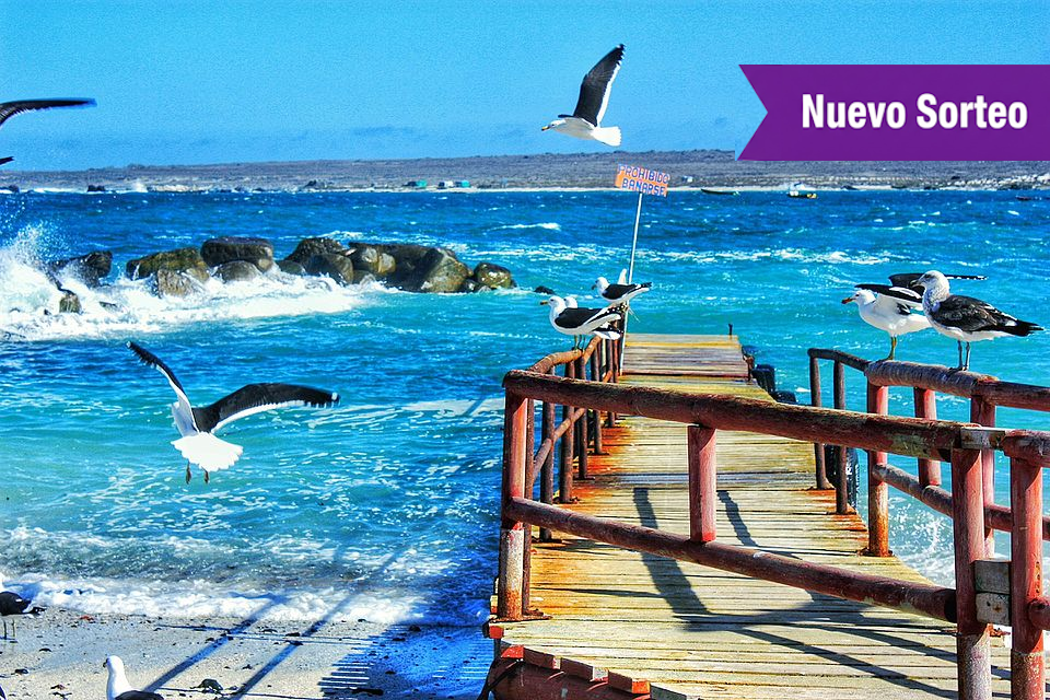 Sorteo Parcela Punta de Choros